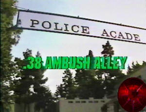 Action Max .38 Ambush Alley screenshot