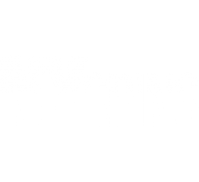 NY Spins logo